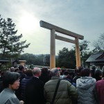 新しい鳥居を仰ぐ