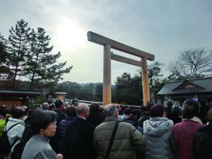 新しい鳥居を仰ぐ